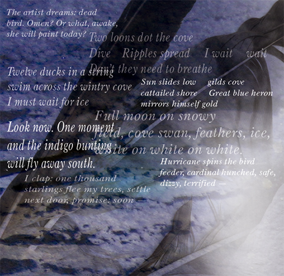 haiku birds