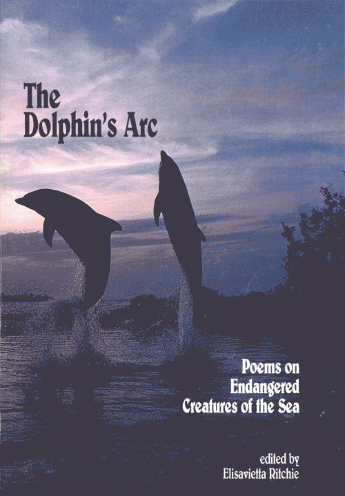 The Dolphin's Arc