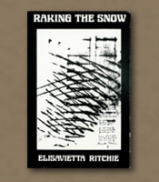 Raking the Snow