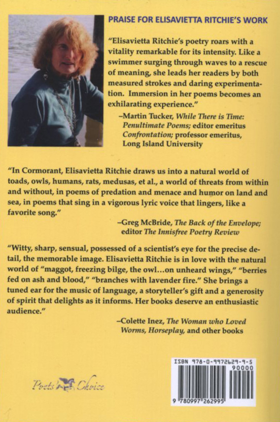 Scotch Runner Back Cover