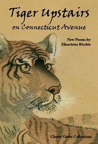 Tiger Upstairs on Connecticute Avenue