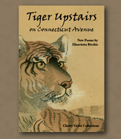 Tiger Upstairs on Connecticut Avenue