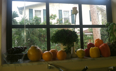 florida window